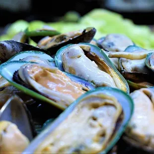 oysters, mussels, oysters and mussels, shellfish, food