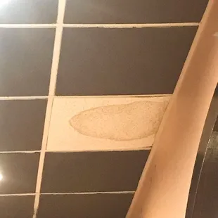 The roof above our table . . . .