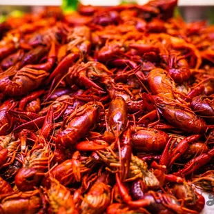 Crawfish