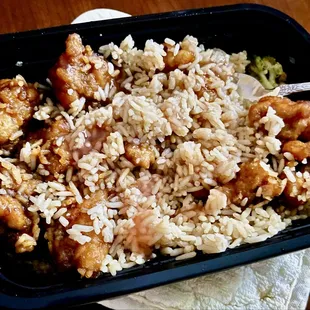 General Tso&apos;s Chicken with fried rice (leftovers)