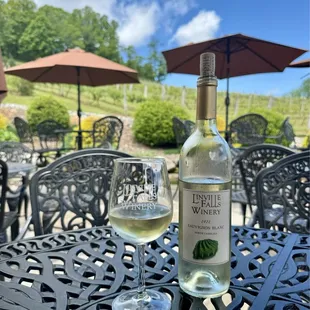 Sauvignon Blanc