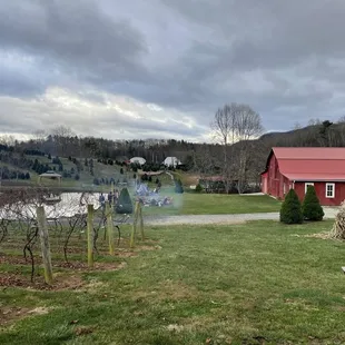 View from the winery