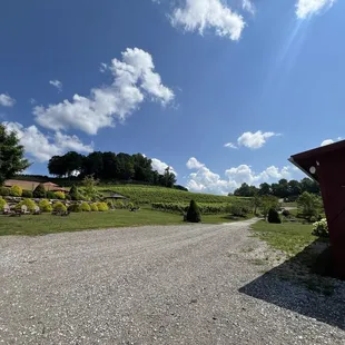 What a beautiful day.