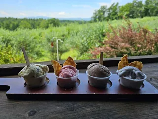 Perry’s Berry’s Vineyard and Winery