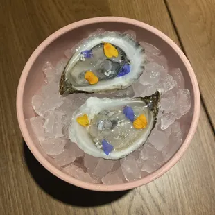 Oysters