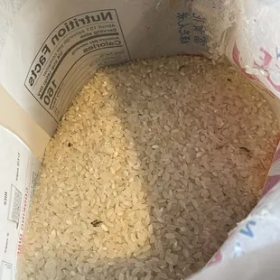 New bag of rice with bugs and webs inside.