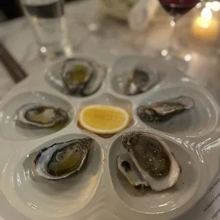 Oysters