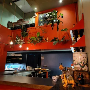 a view of a kitchen with plants on the wall