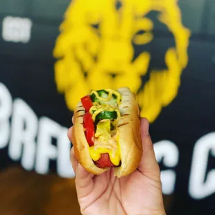 a hand holding a hot dog