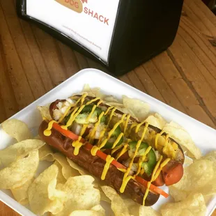 sandwich, food, hot dog, hot dogs