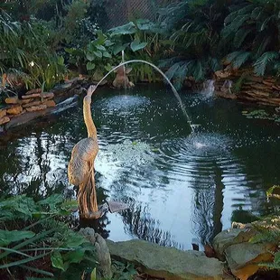 Oasis fountain and fish pond
