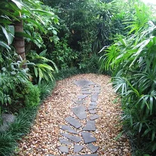 more of the backyard