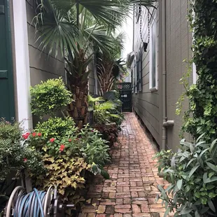 Path from the entry gate