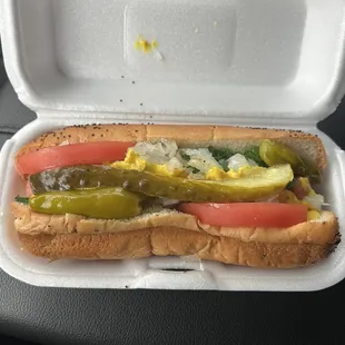 Chicago Dog