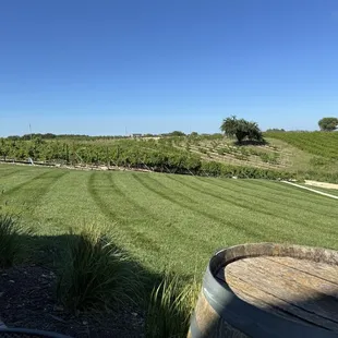 Outdoor seating and View