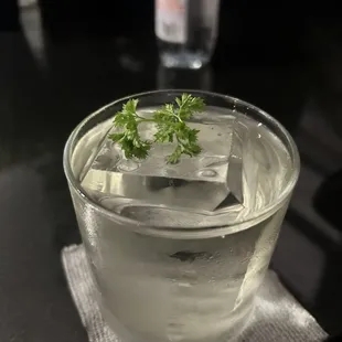 Mezcal Negroni