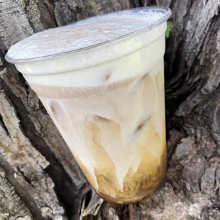  cup of iced coffee on a tree stump