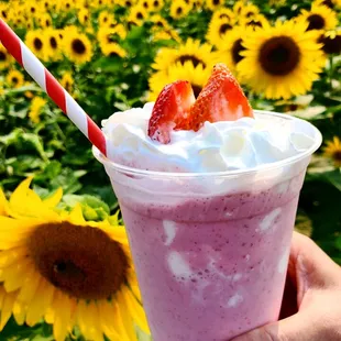 Fresh fruit Strawberry Smoothie