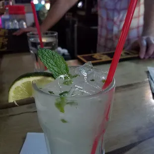 Liquid Zoo and David the BOMB! I brought mint leaves - they made Mojitos!!!