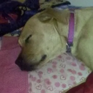 Marita A.