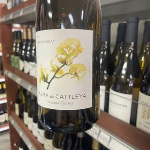 Alma de Cattleya 2021 Chardonnay