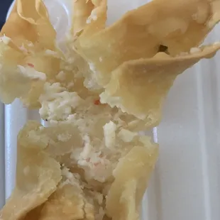 Closer look at empty filling in wontons