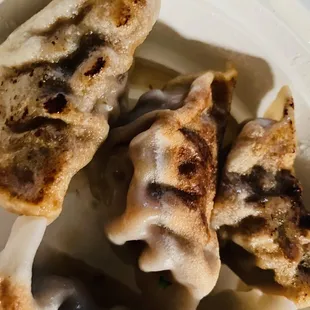 Pan fried Dumplings