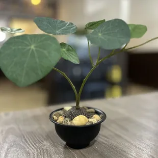 drink, ramen and noodles