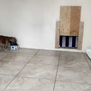 Inside of our large kennel!