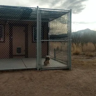 Front of larger kennel!