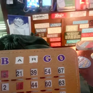 Lisa's version of BINGO-BARGO.
