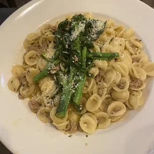 Orecchiette