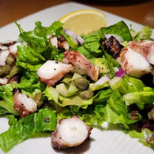 Grilled Octopus Salad