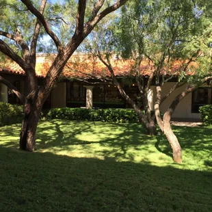 Literarity is nestled in the corner next to courtyard in Pepper Tree Square at 5411 N. Mesa in El Paso, TX.