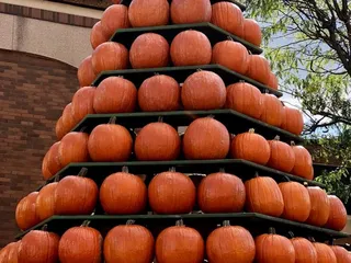 Circleville Pumpkin Show