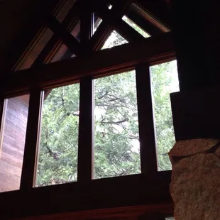 View from dining room