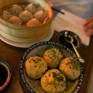 Pan Fried Pork Buns, Pork Soup Dumplings