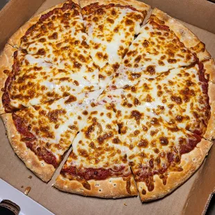 Plain Cheese Medium Pizza Oct 2022