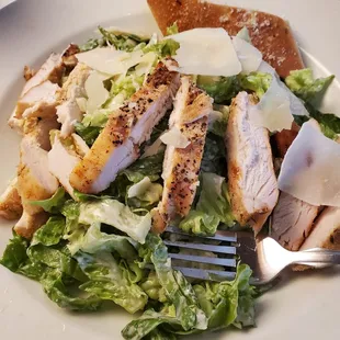 Chicken Caesar Salad