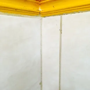 Some of the ants stacked on top of each other