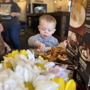 a toddler reaching for a plate of food