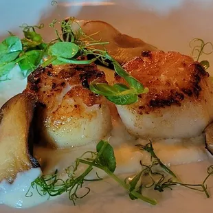 Seared Scallop