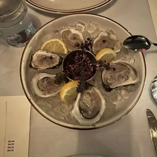 Oysters