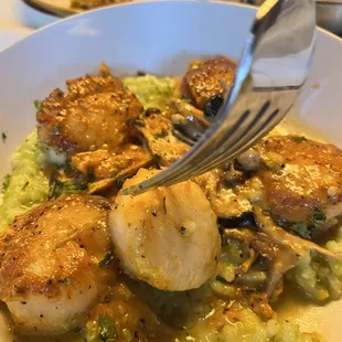 Who only sears a scallop on one side?!