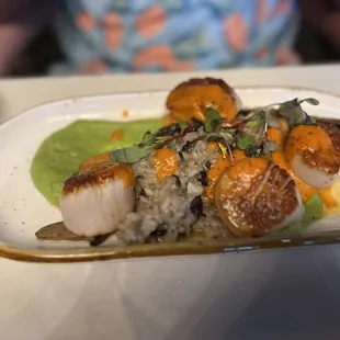 Sea Scallops
