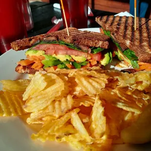 Vegetarian Panini with chips and pickle on marbeled bread