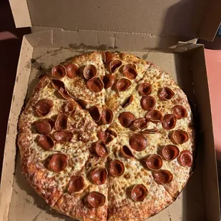 Looks like a normal pizza