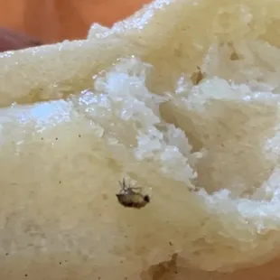 Is that a big piece of garlic?!?!? I think not. It's the poor bug that got killed in the oven trying to eat my breadstick before me.