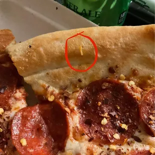 maggot is circled to be seen more clearly