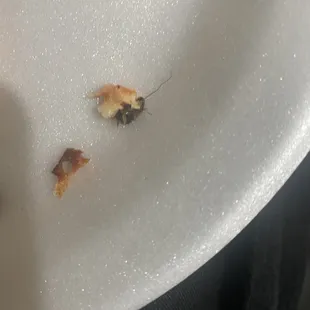 Cheese and roach STUCK to each other. Literally half the roach is missing.